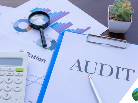 Audit-Proofing a Business: How to Prepare for the IRS Visit