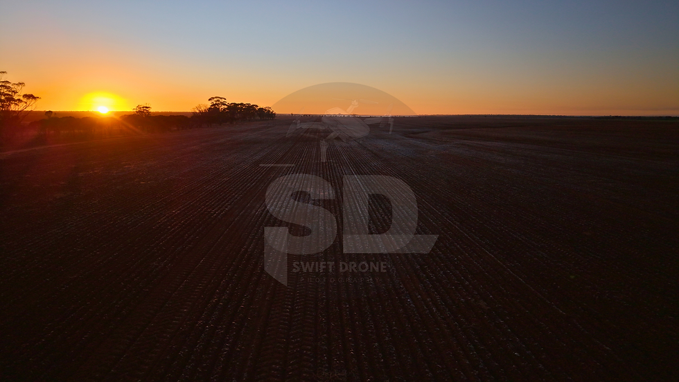 Seeding is Finally Finished!