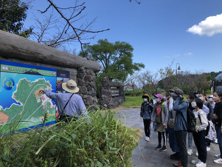 桜島でのフィールドワーク