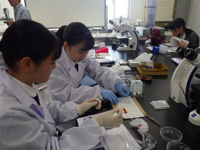 生命科学Labo 甲南大学での実習③