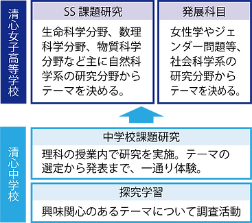 中高での研究活動の流れ改.png