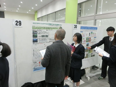 集まれ!科学への挑戦者に参加