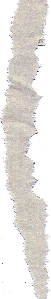 papel rasgado transparente.png