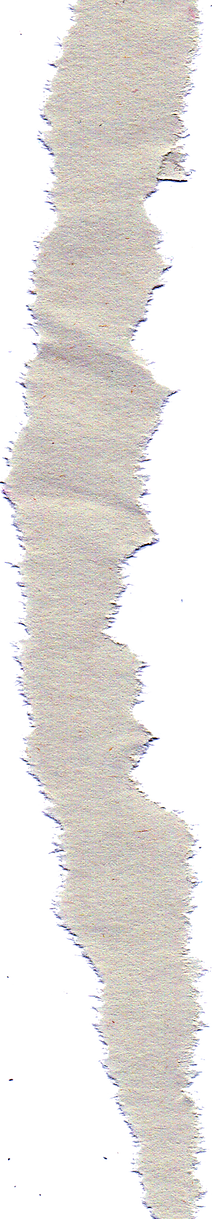 papel rasgado transparente.png