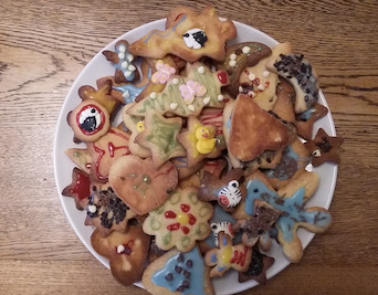 Joshs biscuits.png