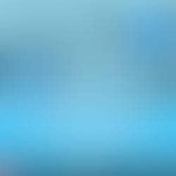 👩🏼⚖️Три способа безопасно оплатить свой автомобиль в Польше.