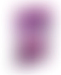 SOUL Wisdom~A compilation of my Newsletters 