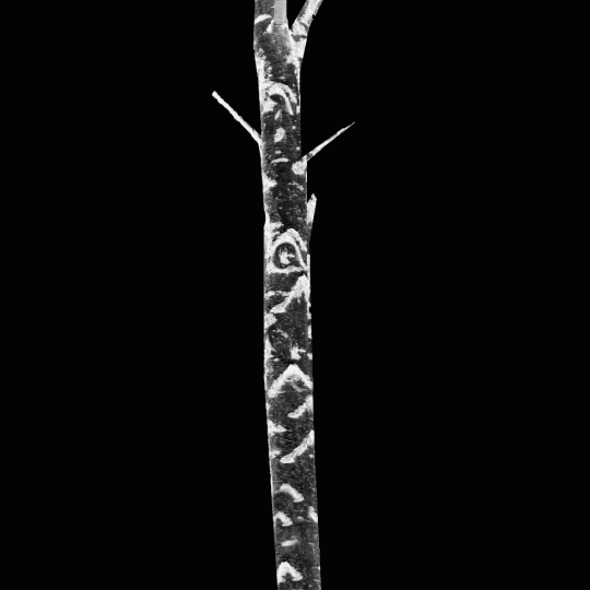 Tree.gif
