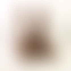 brecho-onca-oncinha-leopardo