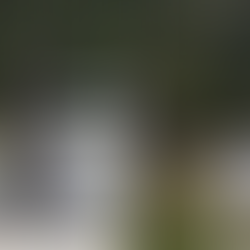 Increased Arrests of Activists Commemorating Tiananmen Square Massacre