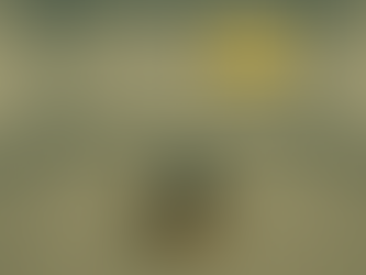 De mano derecha a caja de cartón: el breve final de Bolaños.