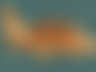 De turistas a mártires: los de la flotilla ya se preparan para llorar en los platós