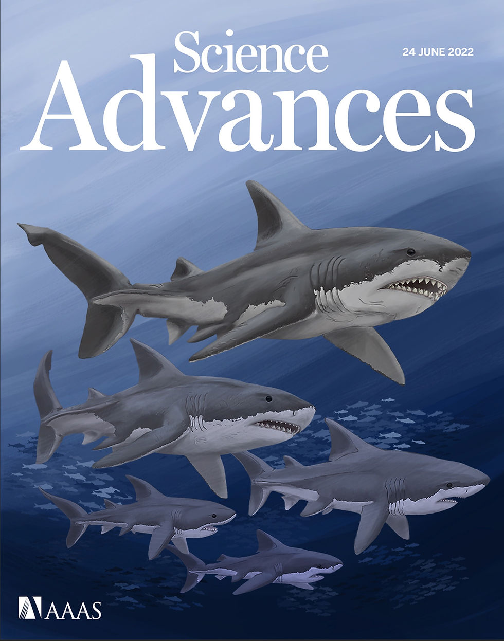 Science Advances