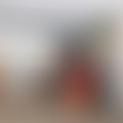 Celebrating the Official Launch: RMFACC - Arizona Chapter