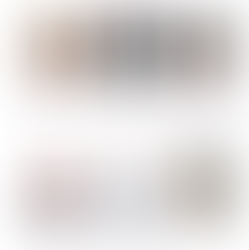 Bienvenue to the Arizona Advisory Committee