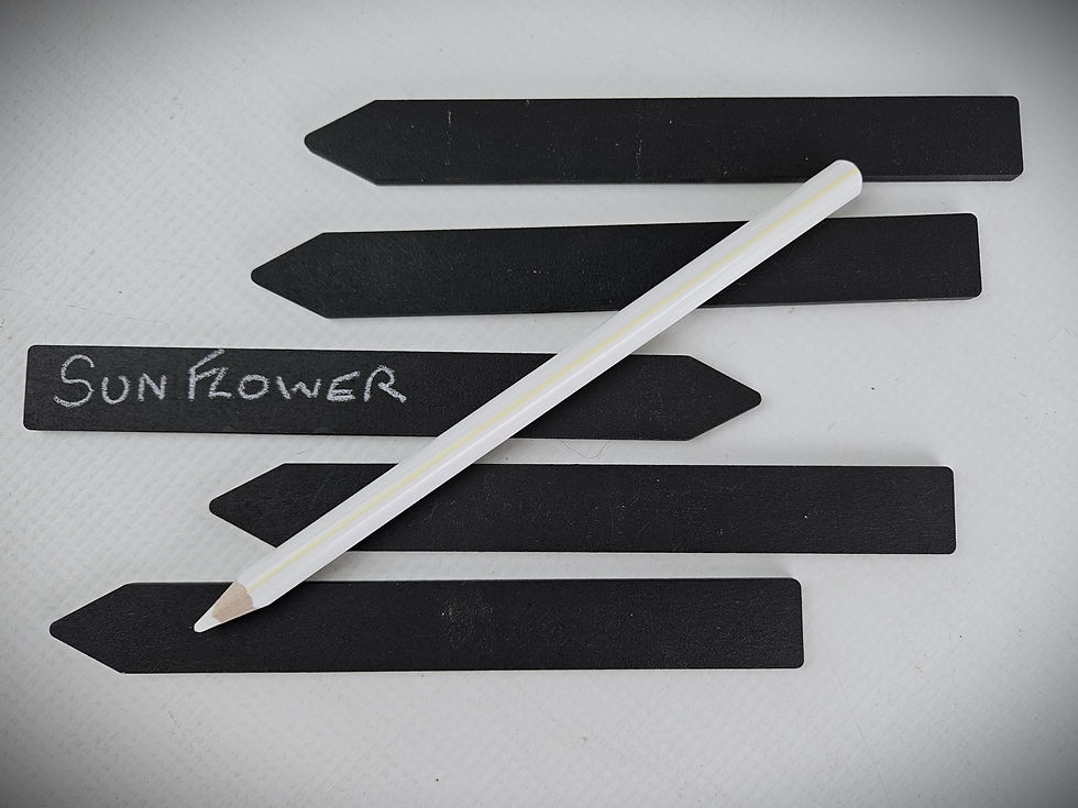 Thumbnail: Blackboard Plant Labels
