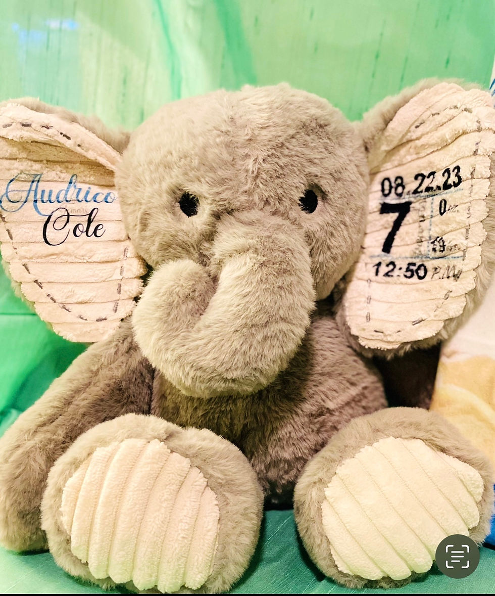 Thumbnail: Baby Bundle