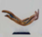 'Crescent'