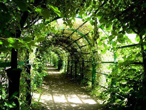 Books Help People Get It Together