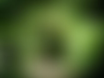 Books Help People Get It Together