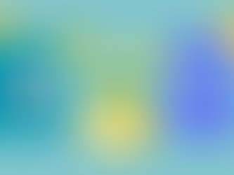 Streamlining the Process