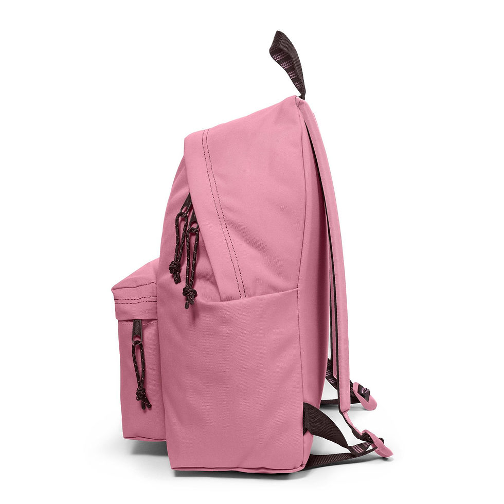 Miniatura: Zaino Eastpak Padded Blakout Stripe Earth vista laterale
