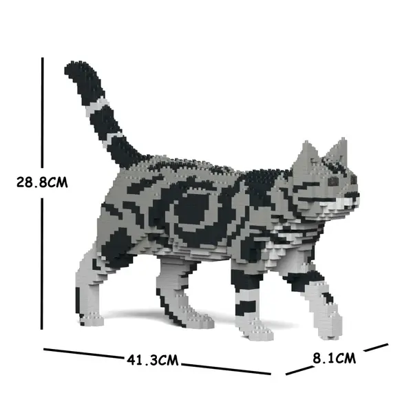 Miniatura: American Shorthair Cat 02S-M01