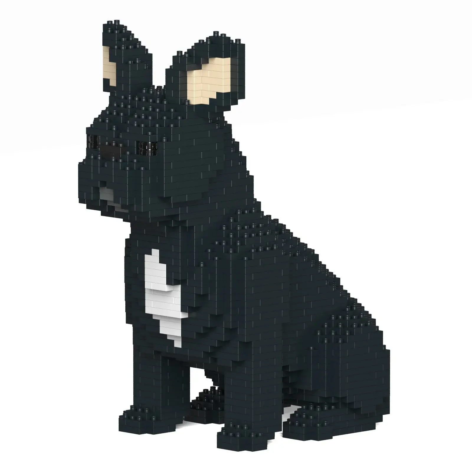 French Bulldog 04S-M03 | vista anteriore sinistra