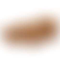 Stampi e forme in carta per panettoni