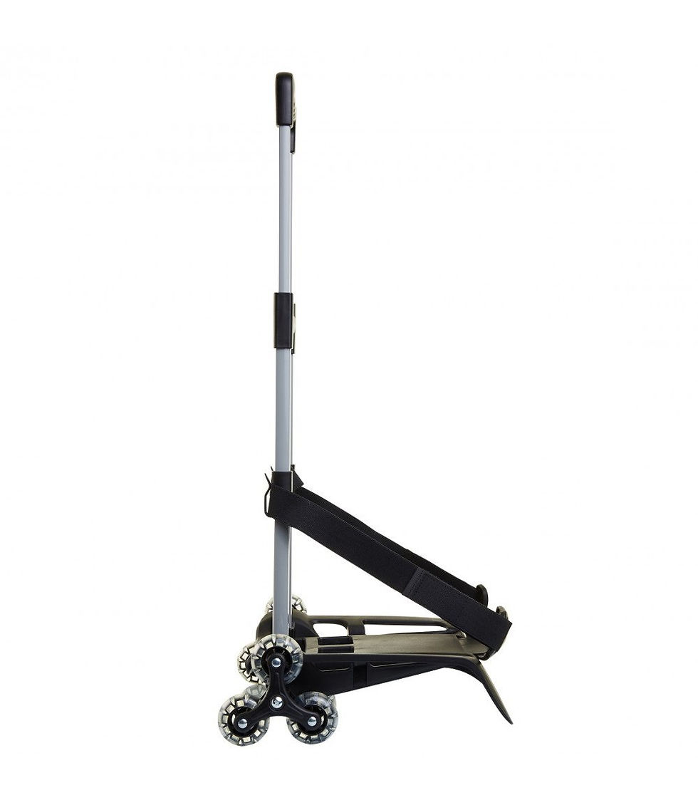Miniatura: BE BOX TROLLEY 3WD r ruote nero carrello portazaino-  vista laterale