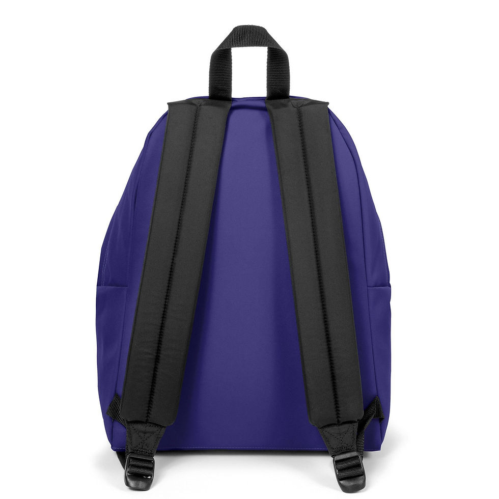 Miniatura: Zaino Eastpak Padded Amethyst Purple vista retro