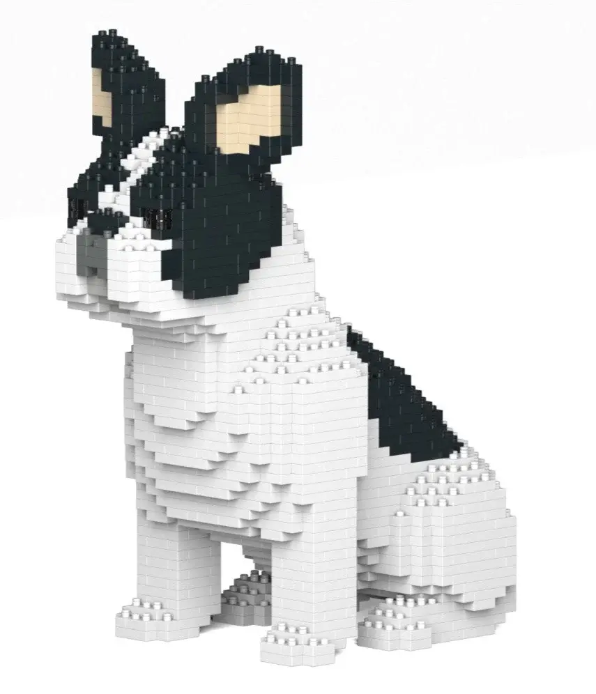 French Bulldog 04S-M04 a sedere - vista anteriore sinistra