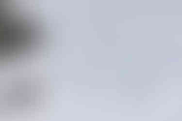 Photo of a snowboarder in the Whistler backcountry, BC.