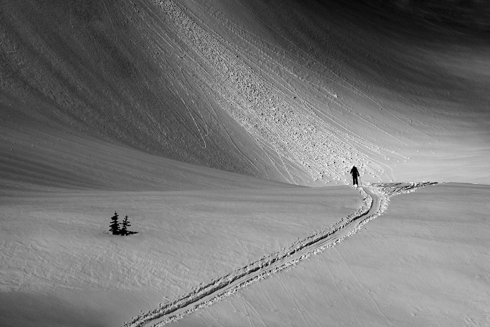 Black and white photo of a splitboarder hiking on the Armchair Glacier in Cayoosh Pass, BC.
