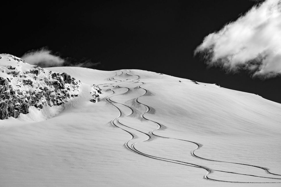 Black and white photo of snowboard tracks in the Whistler backcountry.