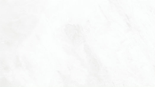 White Background_edited.jpg
