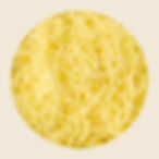 Monterey Jack Cheese Topping Ingredient
