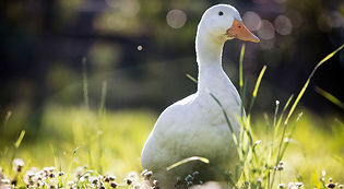 South Coast Commercial Photography-004.j