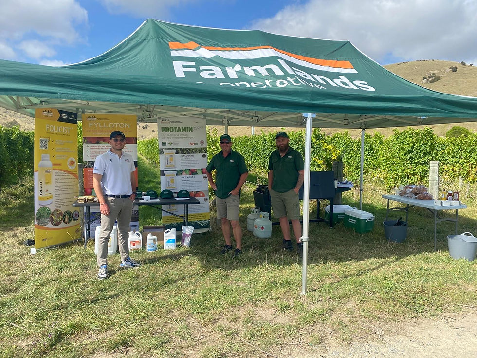 Driving Vineyard Performance: Biolchim Field Day at Auntsfield Estate