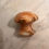 Thumbnail: Banded Onyx Mushroom Massager