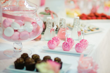Cakepops The Cake Lady
