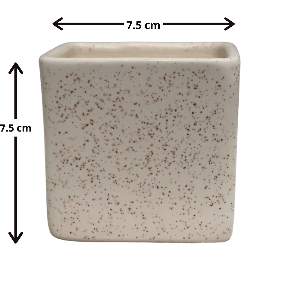 Thumbnail: Square Table Top Ceramic Planter