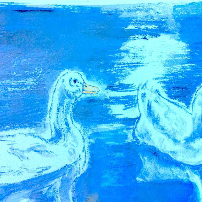 Two white ducks - sketchbook