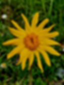 20220623_103410.jpg