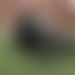 A Front-Porch Gospel Love Story