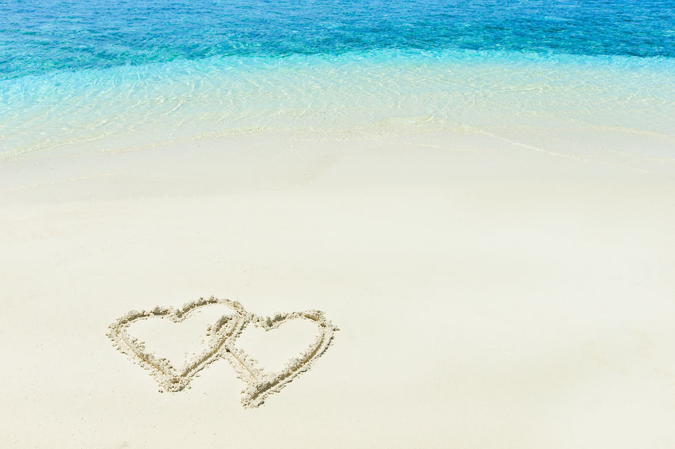 tropical-beach-maldives-with-few-palm-trees-blue-lagoon.jpg