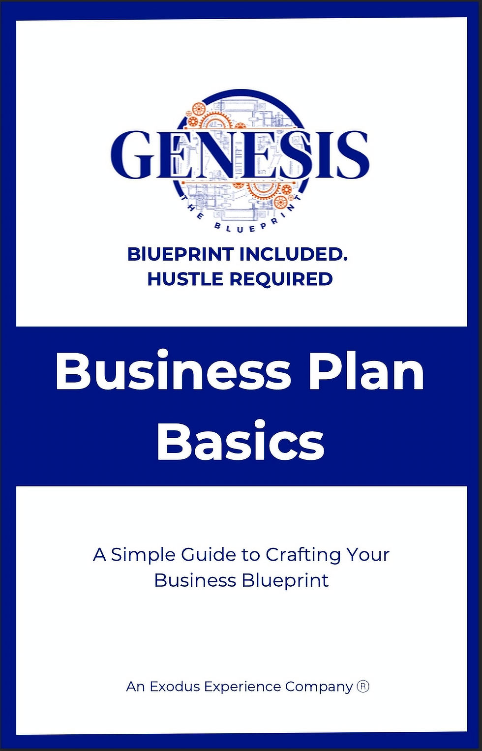 White and navy blue book cover with white lettering that says business plan basics by Ms. Ludgy