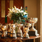 Trophies