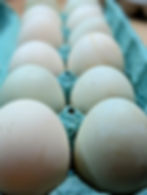 Thumbnail: Duck Eggs