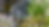 Thumbnail: Oregano - 0.5 oz
